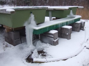 Dags att flytta ut tången till havet över vintern