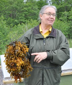 Foto: Johan Hellström