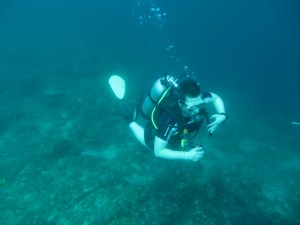 Det är så enkelt att dyka i varma vatten! Ingen torrdräkt, ingen is.