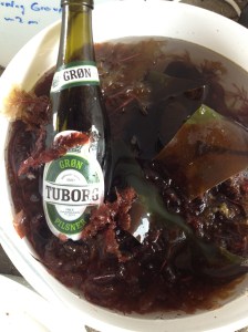 Danska alger; röd, brun och grøn