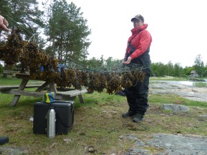 Här ska det bli baby-boom!