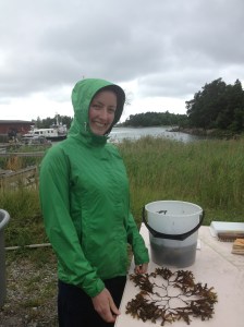 Frances och blåstång!