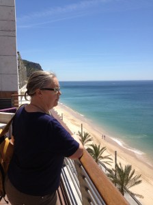 Utsikt från hotelltaket