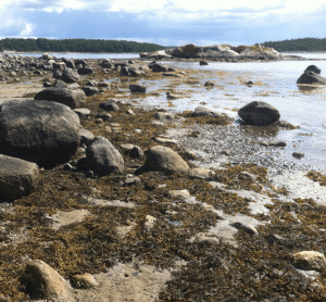 lågvatten med spiral