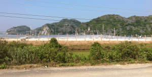 Intensivodling av räkor