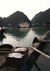 skräpfisklådor till försäljning