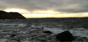 1.SVEA TILL FACKBOOK FPROLIGBILD+