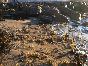 12Rotsystem binder sanden