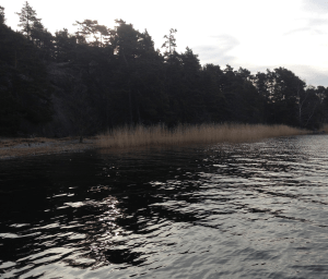 1 vinter vass och glitter