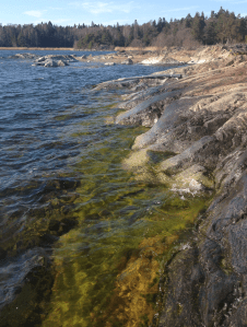 3 klippan 8 april 2015