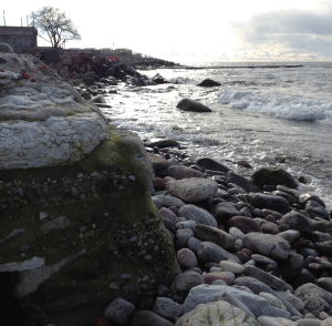 6strand kust visby