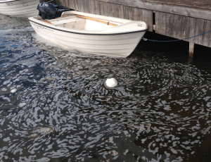 Bild 3 skum efter stormen