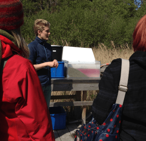 bild 5 skiktad - saltvatteninbrott