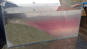 bild 6saltvattens skiktning