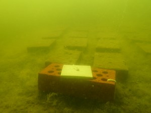 Färgtonen i vattnet avslöjar att det är ganska påverkat av näringsämnen.