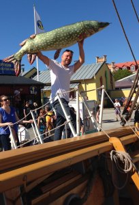 Gäddan bärs ombord.