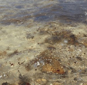 4 Drivande bollar av ektofsing och ...