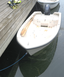 Bild 5 algblomning vid fören