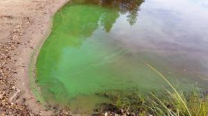 sjön Getaren Lida friluftsgård