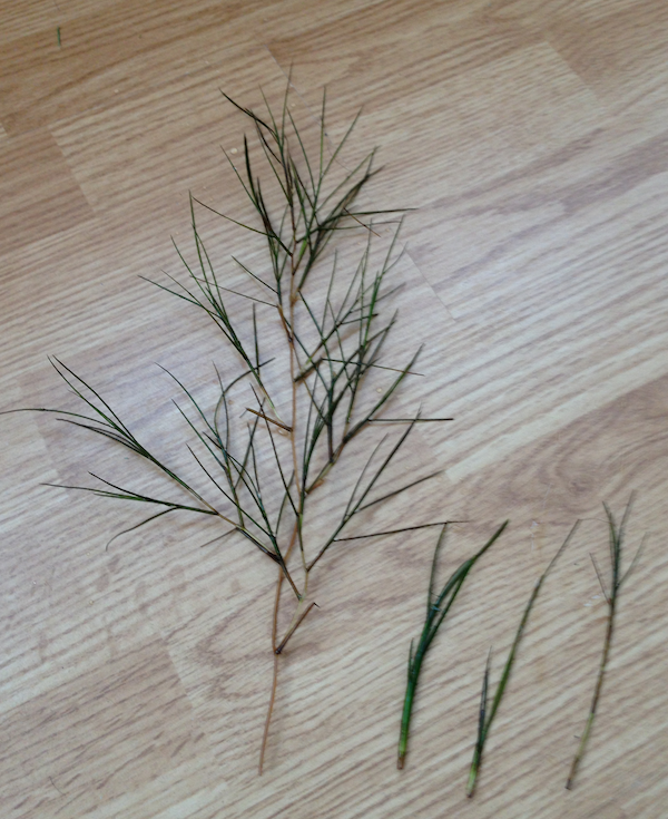 bortnate spridning vinter skott