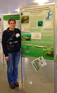 6Pylaiella påverkan på etablering av blåstång