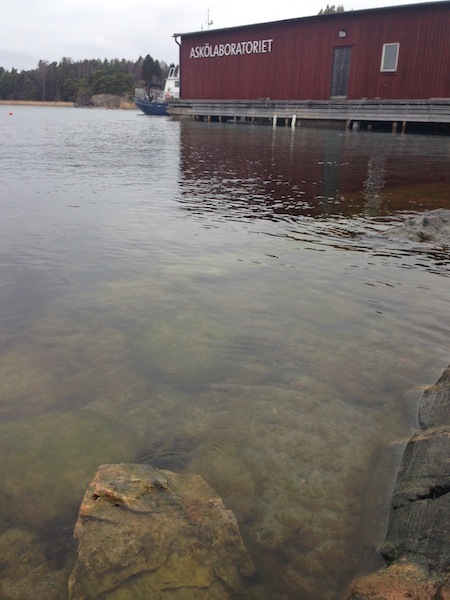 1Skarp syn ser vårlager