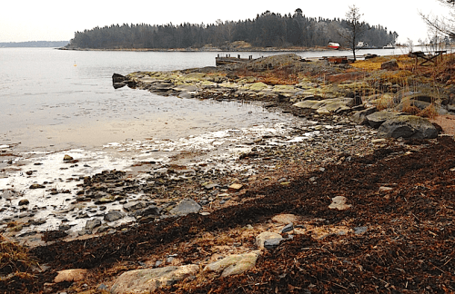 Räfsnäs lågvatten och tångvall