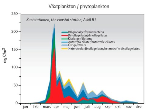 algblomning över året