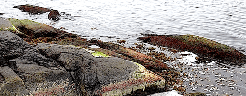 3ho%cc%88stklippa-2016