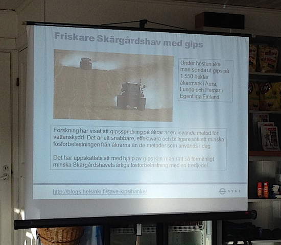 6friskt-ska%cc%88rga%cc%8ardshav-med-gips