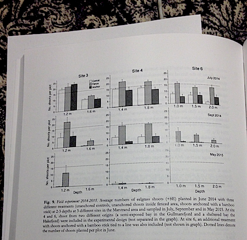 7figur-a%cc%8algra%cc%88so%cc%88verlevnad