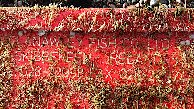 5Clanawley Fish co LTD,Skibbereen Ireland.png