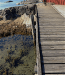 2pylaiella-vid-ba%cc%8athuset