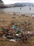 delfinernas-badplast