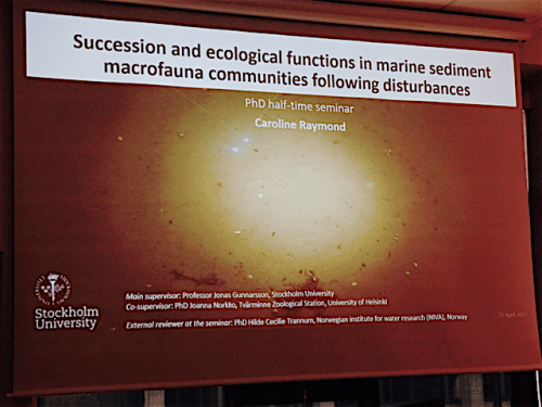 2Caroline halvtids semin