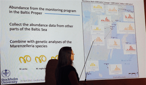 4Marenzelleria -förändringar