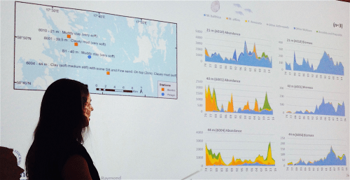6långtidsförändring -märlor till musslor