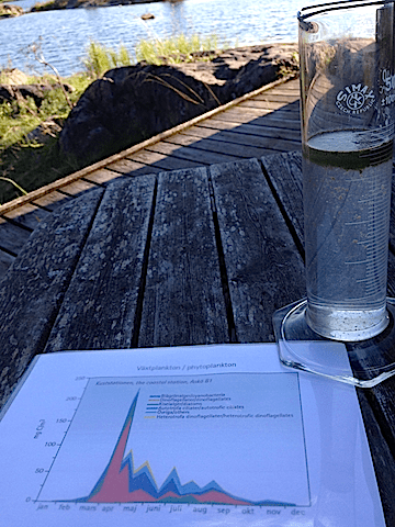 2årstider blomningar