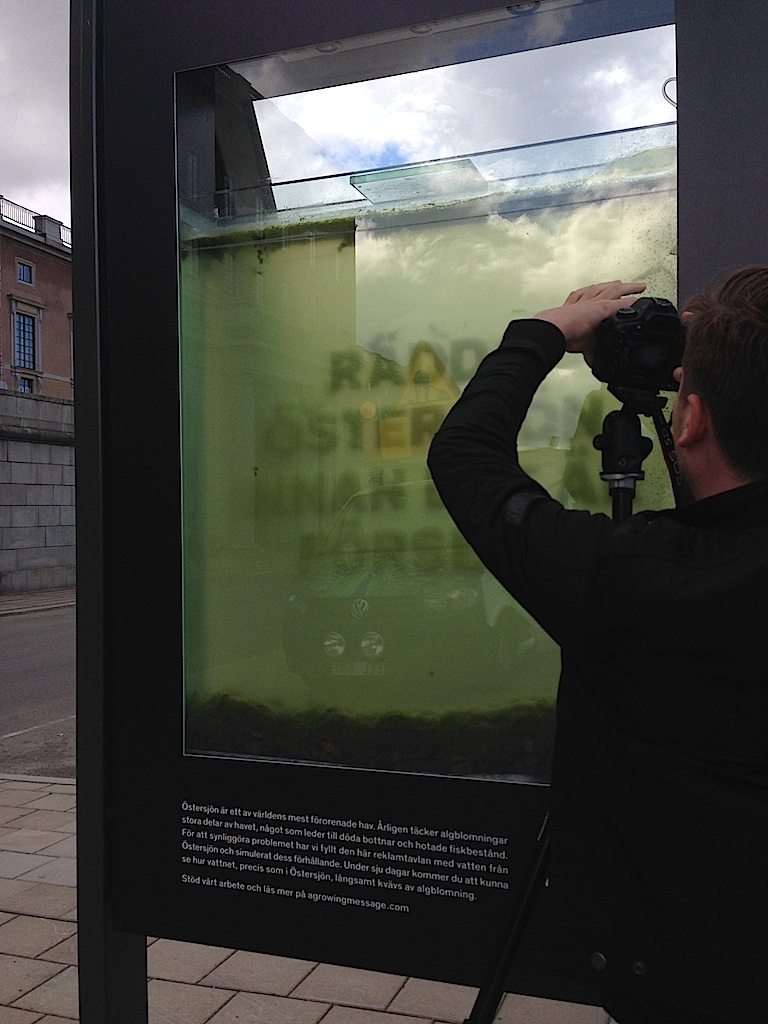 8akvariet- flytande i ytan 20170620