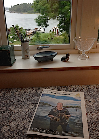 Tångbloggen i DN bilaga