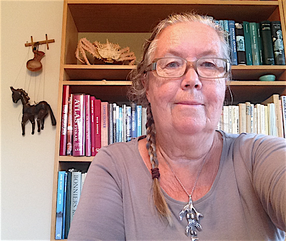 Bild till TV 4 inslag