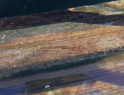 8 badsteg 2 vid ponton