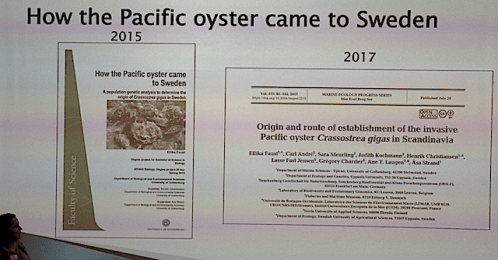 5 kandidat och artikel