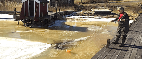 3 Första plankton draget 20180325