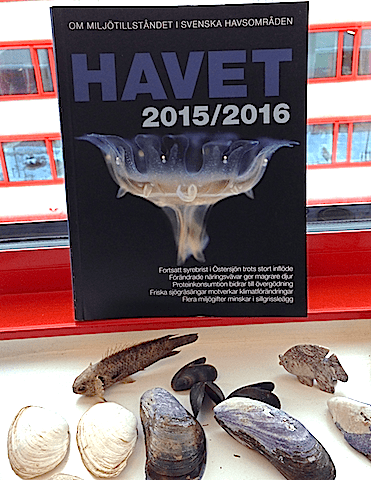 Havet 2015:2016