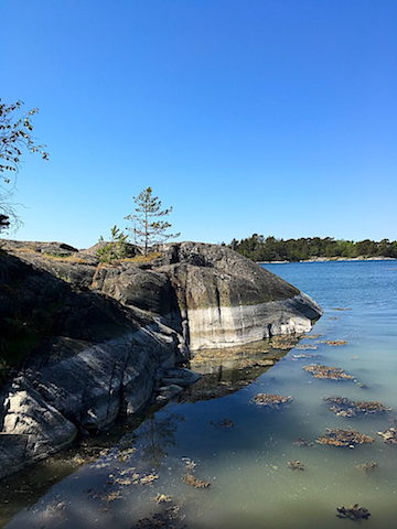 1 Lågvattenränder grumlat vatten (kopia)