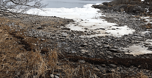 1Råttviken lågvatten vall 20180409