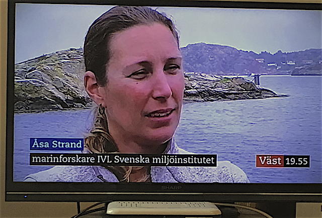 1Åsa Strand SVT väst 2018 juli