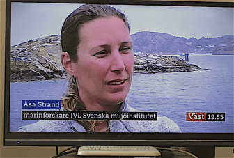 1Åsa Strand SVT väst 2018 juli