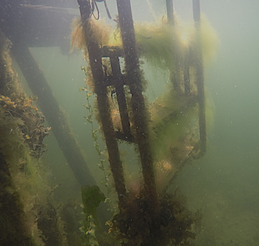 4 Badstegen tre steg 20180902